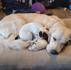 Meet your Posher, Kathy diana